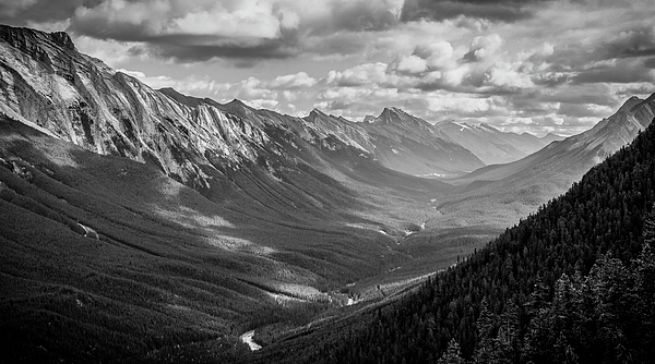 Bow Valley Black And White by Dan Sproul Bow Valley Black And White by Dan Sproul